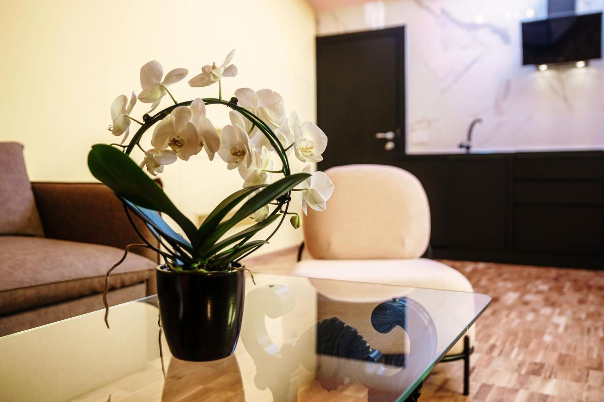 Aurum - Como Luxury Suites Pokoj fotografie